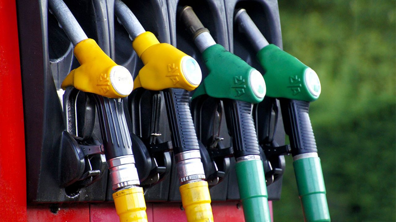Straty Skarbu Państwa przekraczają 250 mln zł (fot. Pixabay/Activ-Michoko) Straty Skarbu Państwa przekraczają 250 mln zł (fot. Pixabay/Activ-Michoko)