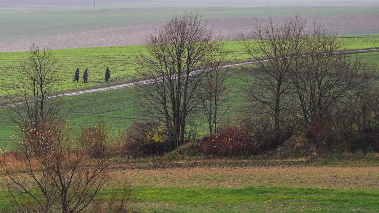 Służby na terenie miejscowości Przewodów (fot. PAP/Wojtek Jargiło)