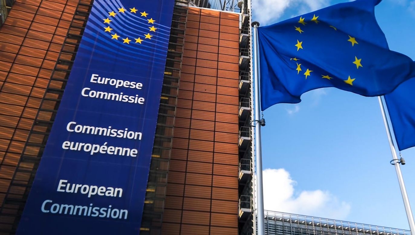 Sabotażowe działania UE mają oczywisty cel polityczny (fot. Shutterstock/symbiot)