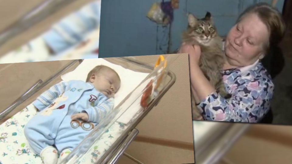 Kot Uratowal Dziecko Ogrzewal Je Wlasnym Cialem Tvp Info