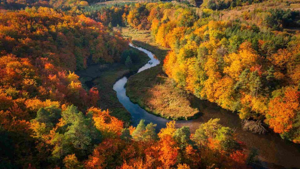 Meteorolodzy wyróżniają różne typy jesieni, które są określane na podstawie warunków atmosferycznych i zjawisk pogodowych. Fot. Patryk Kośmider/ Shutterstock