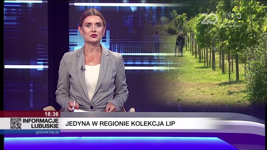 stopklatka