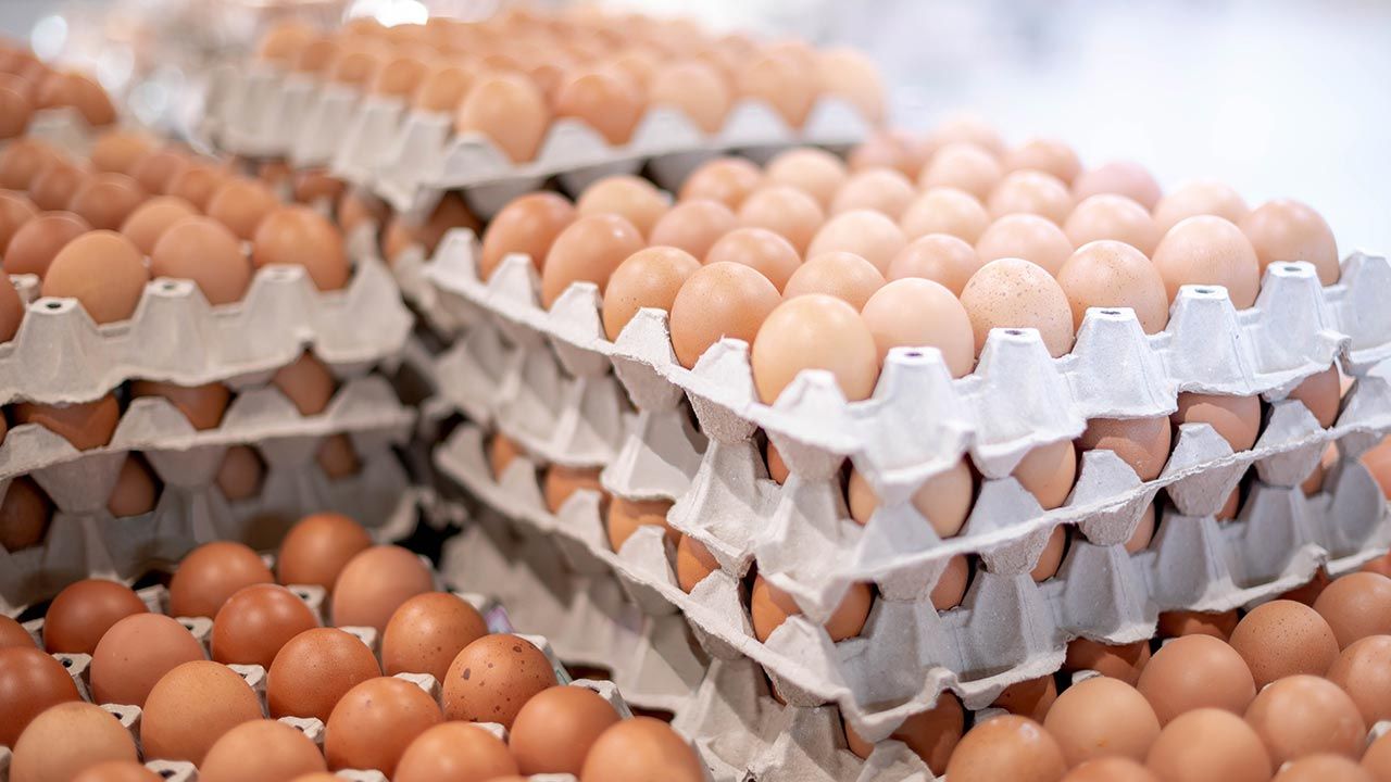 W USA ceny jajek gwałtownie rosną (fot. Shutterstock/Lin Xiu Xiu)