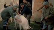 przeglad-filmowy-kino-na-granicy