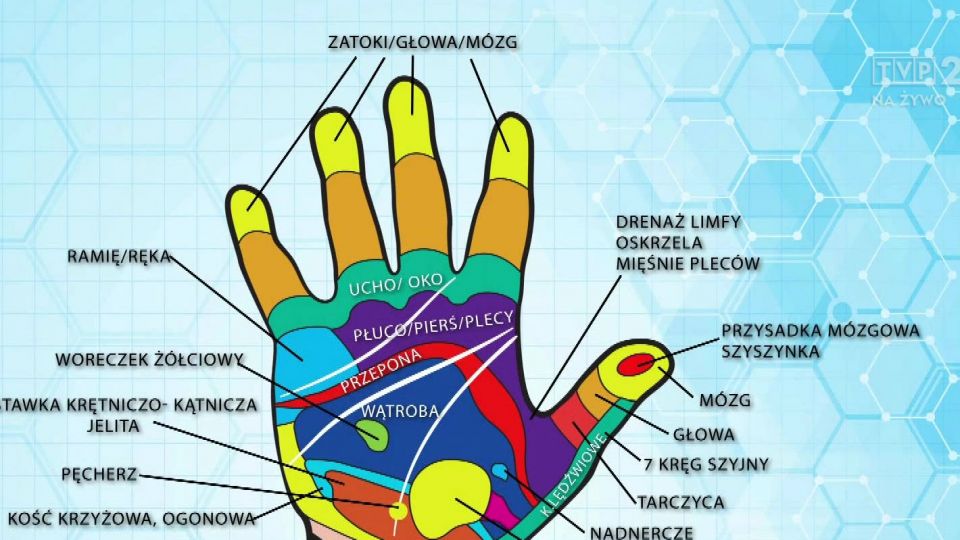 receptory na dłoniach