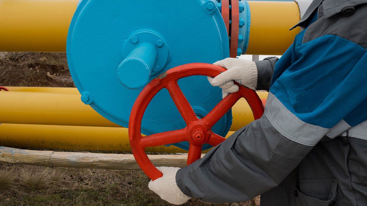 Litwa już ograniczyła dostawy gazu (fot. Shutterstock/A08)