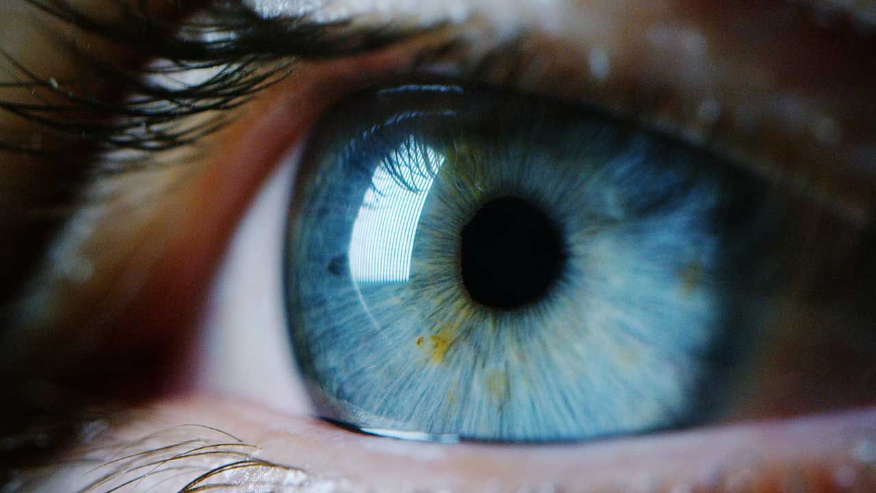 Na oczach też mamy mikrobiom. Równie ważny dla zdrowia, jak ten w jelitach (fot. Shutterstock/HQuality) Na oczach też mamy mikrobiom. Równie ważny dla zdrowia, jak ten w jelitach (fot. Shutterstock/HQuality)