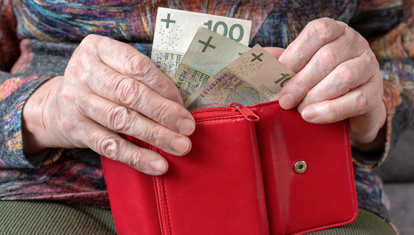 Niemal każdy emeryt dostanie na rękę więcej od 200 do 400 zł (fot. Shutterstock/vivooo)