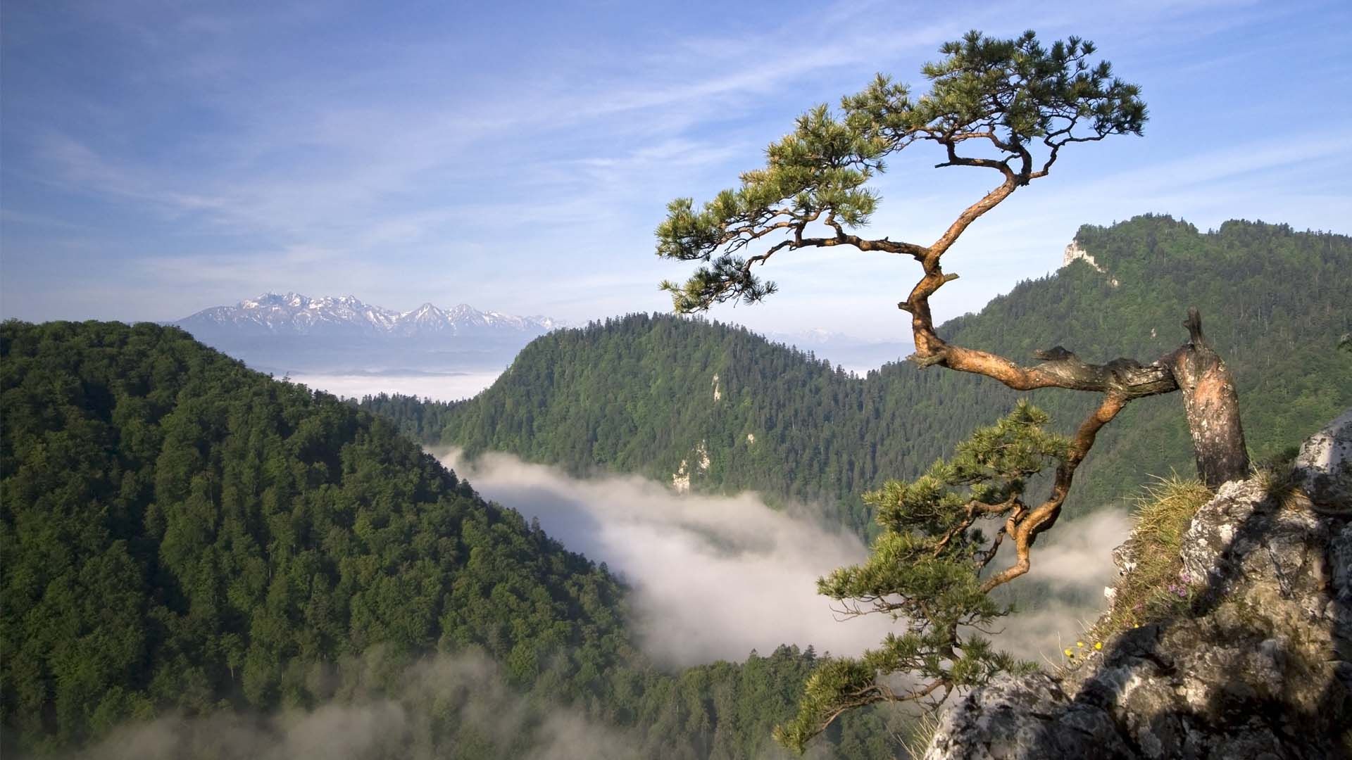 Pieniny, malownicze pasmo górskie na południu Polski, słynie z przełomu Dunajca, Trzech Koron oraz dwóch zamków położonych nad Jeziorem Czorsztyńskim. Fot. tramper79/Shutterstock