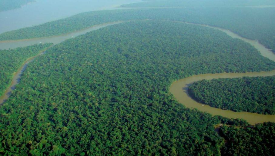 Podaj Trzy Przyczyny Wylesiania Amazonii Drastyczne przyspieszenie wylesiania Amazonii. Wzrasta nielegalna