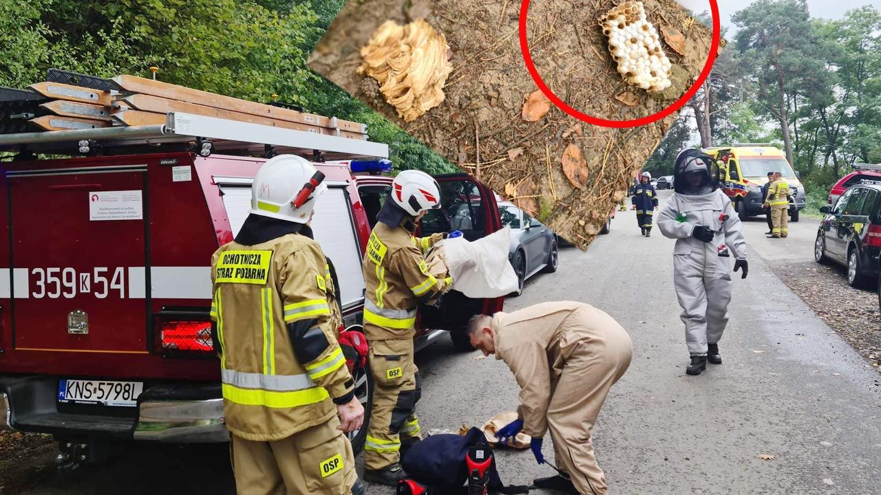 Według relacji strażaków akcja ratunkowa była bardzo trudna (fot. OSP Rożnów)