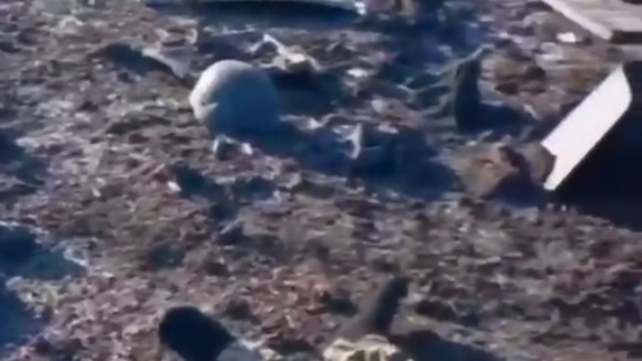 Rus ayoli rus ovozi bilan almashtiriladi