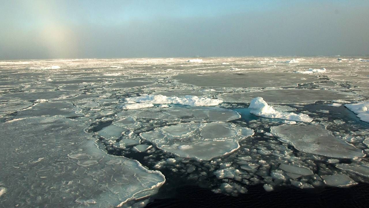 Pokrywa lodowa Arktyki szybko topnieje (fot. NASA)