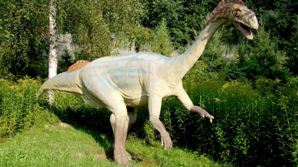 Polscy naukowcy określają częstość oddychania gigantycznego dinozaura