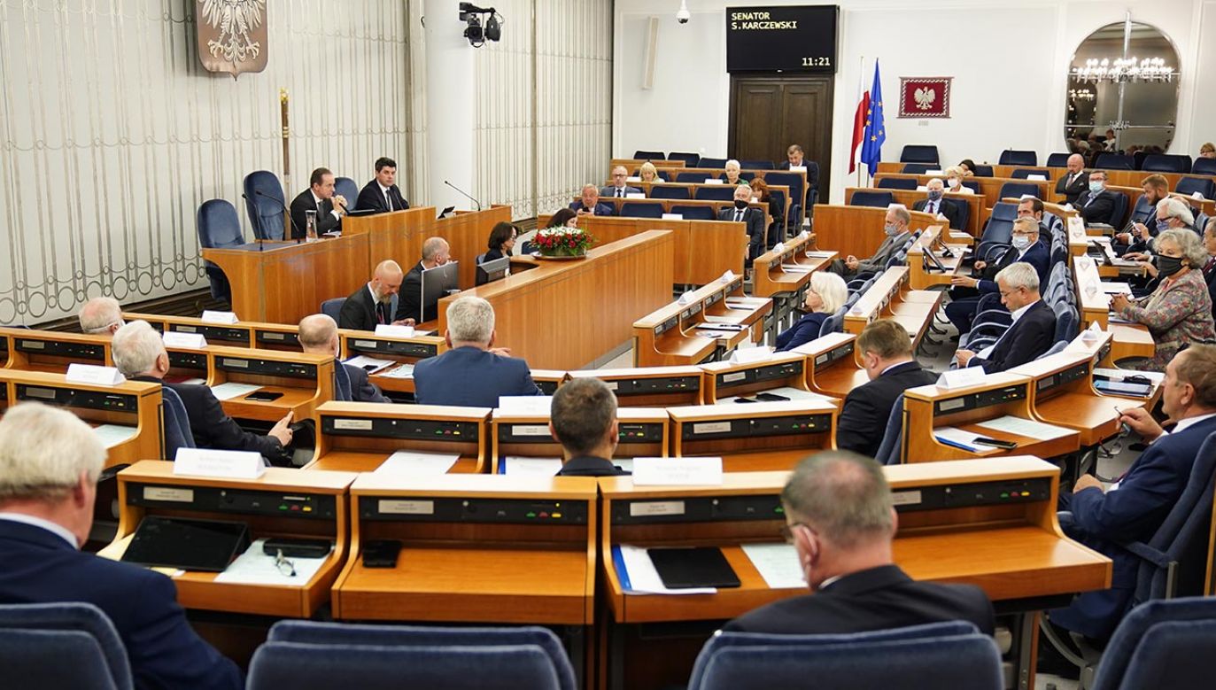 Co Senat zrobi z "Piątką dla zwierząt"? (fot. Forum/Mateusz Wlodarczyk)