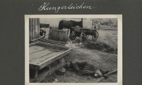Zwłoki zmarłych z głodu na terenie targu („Auf dem Markte”). (Zdjęcie z albumu kard. Innitzera, opublikowane dzięki uprzejmości Samary Pearce)