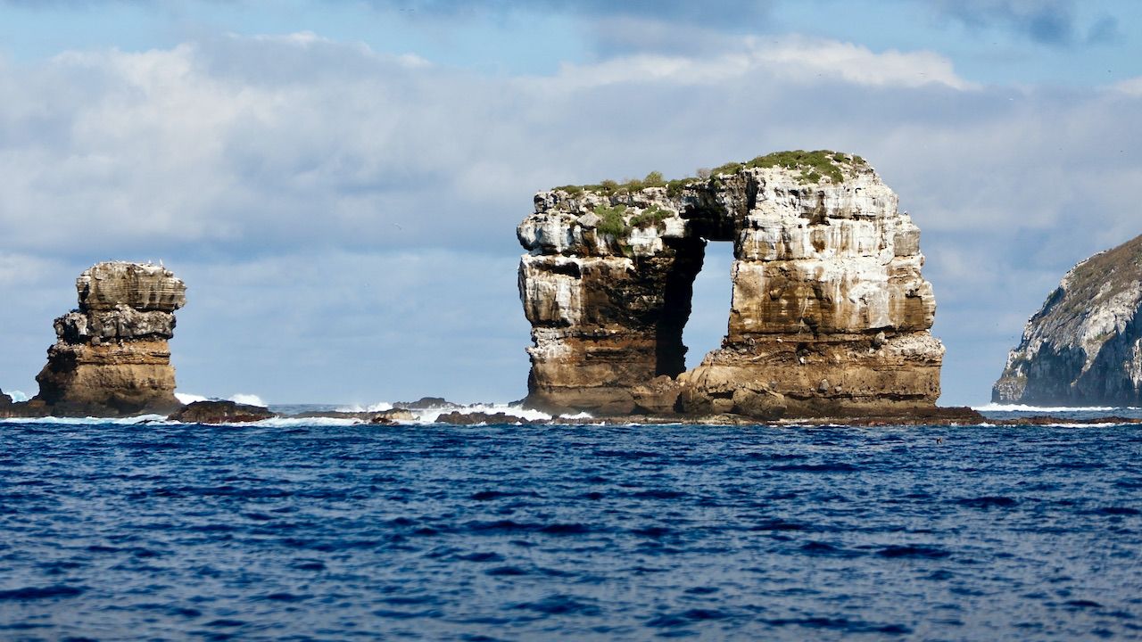 Archipelag Galapagos słynie z bogactwa dzikiej przyrody (fot. Prisma Bildagentur/UIG/Getty Images) Archipelag Galapagos słynie z bogactwa dzikiej przyrody (fot. Prisma Bildagentur/UIG/Getty Images)