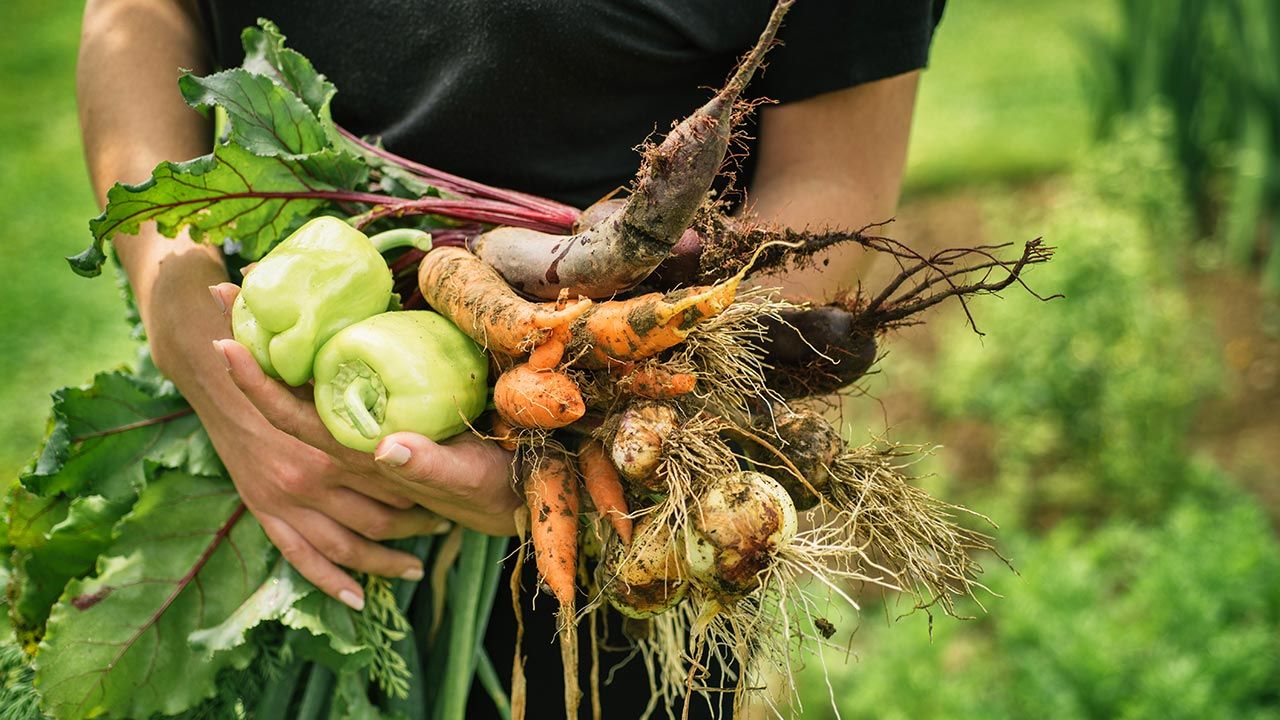 Udało się uratować ponad sześć ton żywności (fot. Shutterstock/viki2win) Udało się uratować ponad sześć ton żywności (fot. Shutterstock/viki2win)