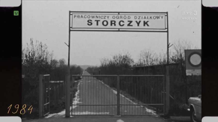 (fot. TVP3 Wrocław) 