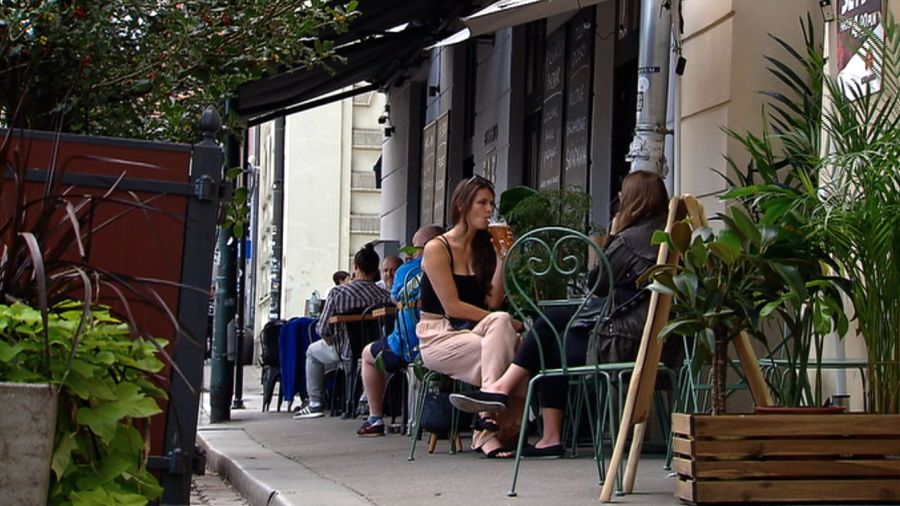 Vacatio legis ogródków