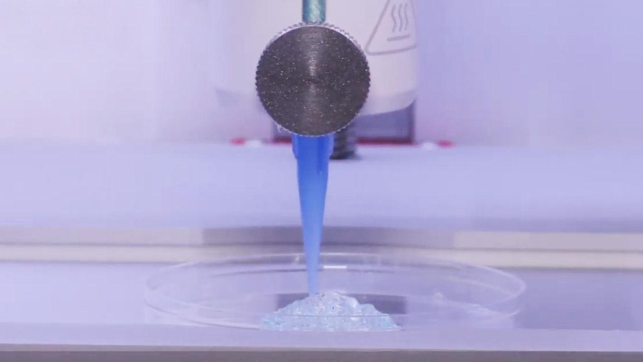 Brak naczyń krwionośnych to główna przeszkoda uniemożliwiająca trwałe łączenie z organizmem implantów (fot. youtube/Rensselaer Polytechnic Institute) Brak naczyń krwionośnych to główna przeszkoda uniemożliwiająca trwałe łączenie z organizmem implantów (fot. youtube/Rensselaer Polytechnic Institute)