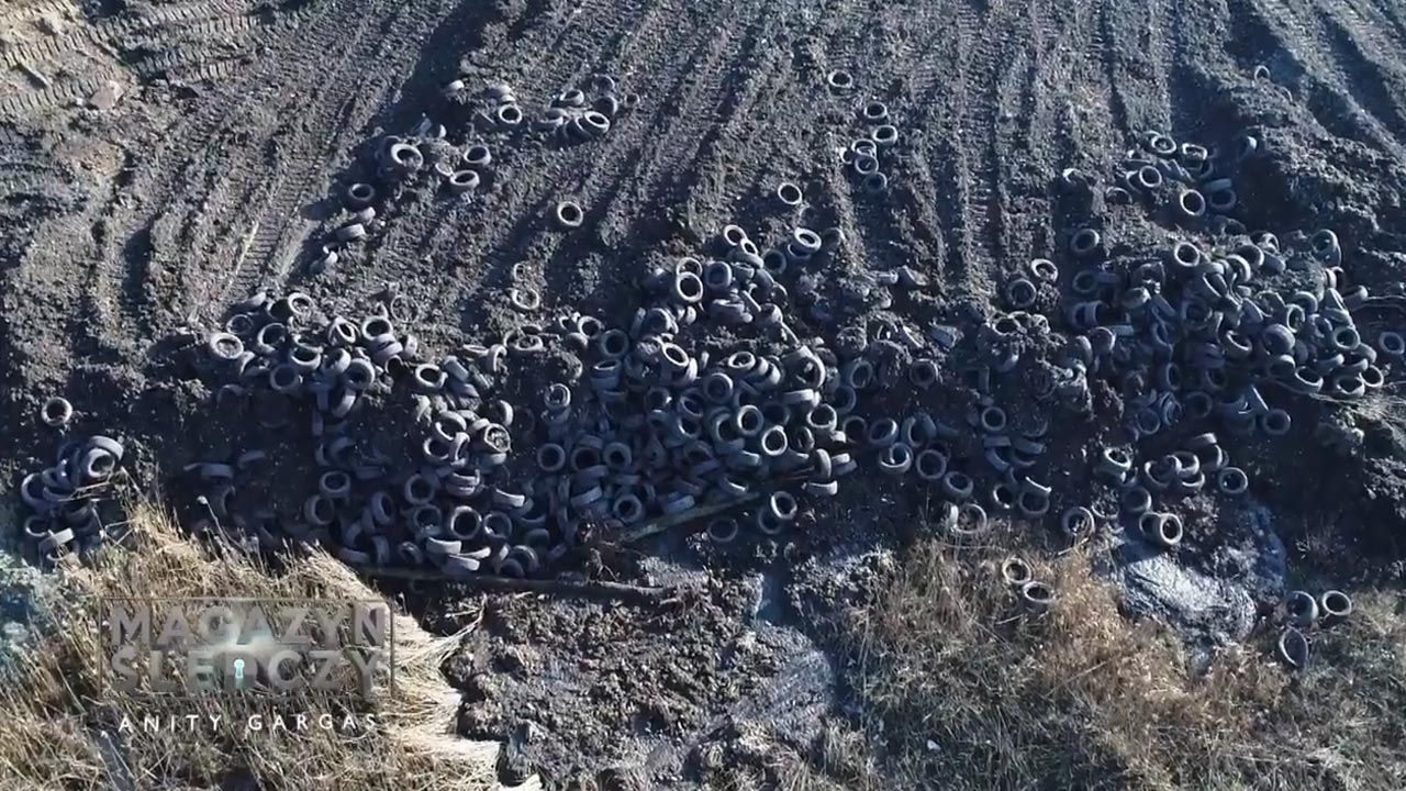 Cuchnąca maź i śmieci w lesie (fot. Magazyn Śledczy Anity Gargas) Cuchnąca maź i śmieci w lesie (fot. Magazyn Śledczy Anity Gargas)