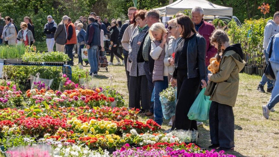 Już 11 maja w Piotrkowie Trybunalskim odbędą się XVIII Targi "Pamiętajmy o ogrodach"