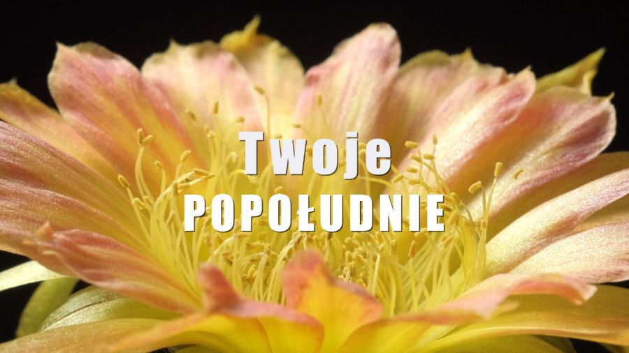 fot. TVP3 Łódź