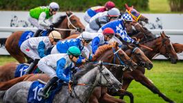 Czas na kolejną Galę Derby (fot. Tor Służewiec). Czas na kolejną Galę Derby (fot. Tor Służewiec).