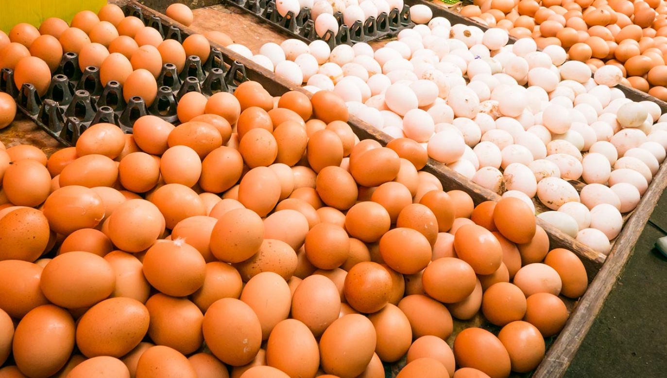 Jajeczna drożyzna w Niemczech (fot. Shutterstock)